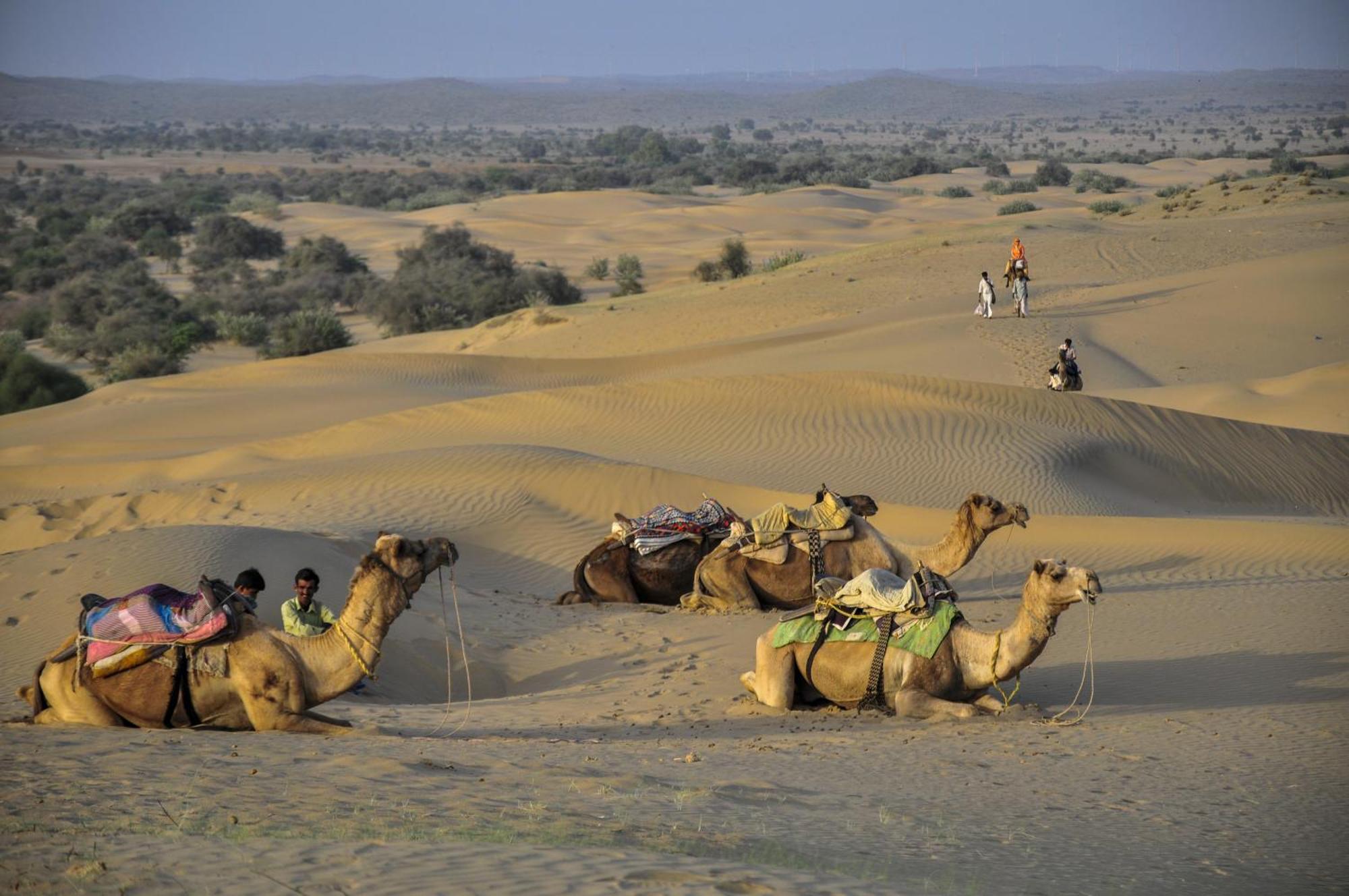 Hotel Royal Jaisalmer Bagian luar foto