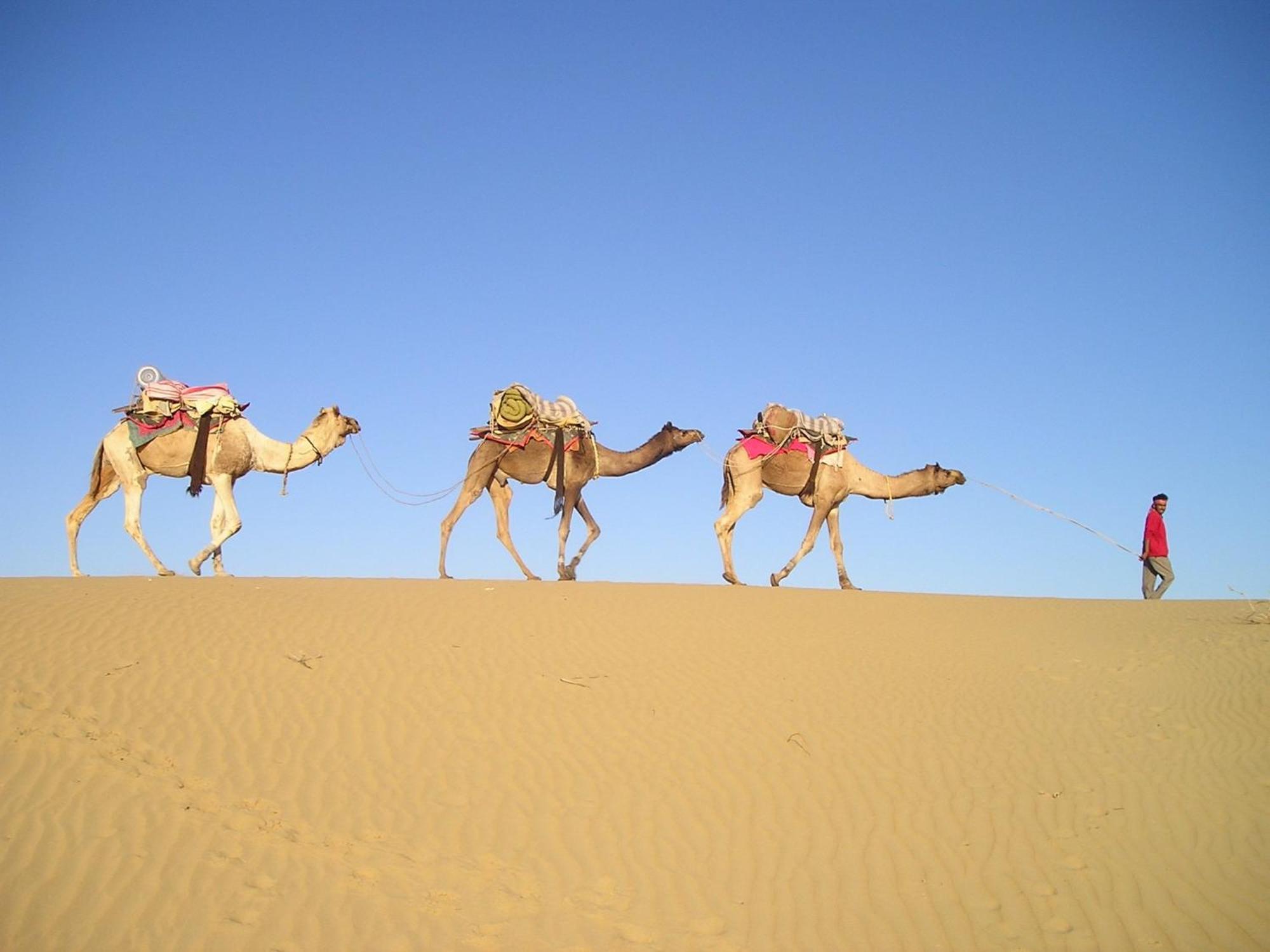 Hotel Royal Jaisalmer Bagian luar foto