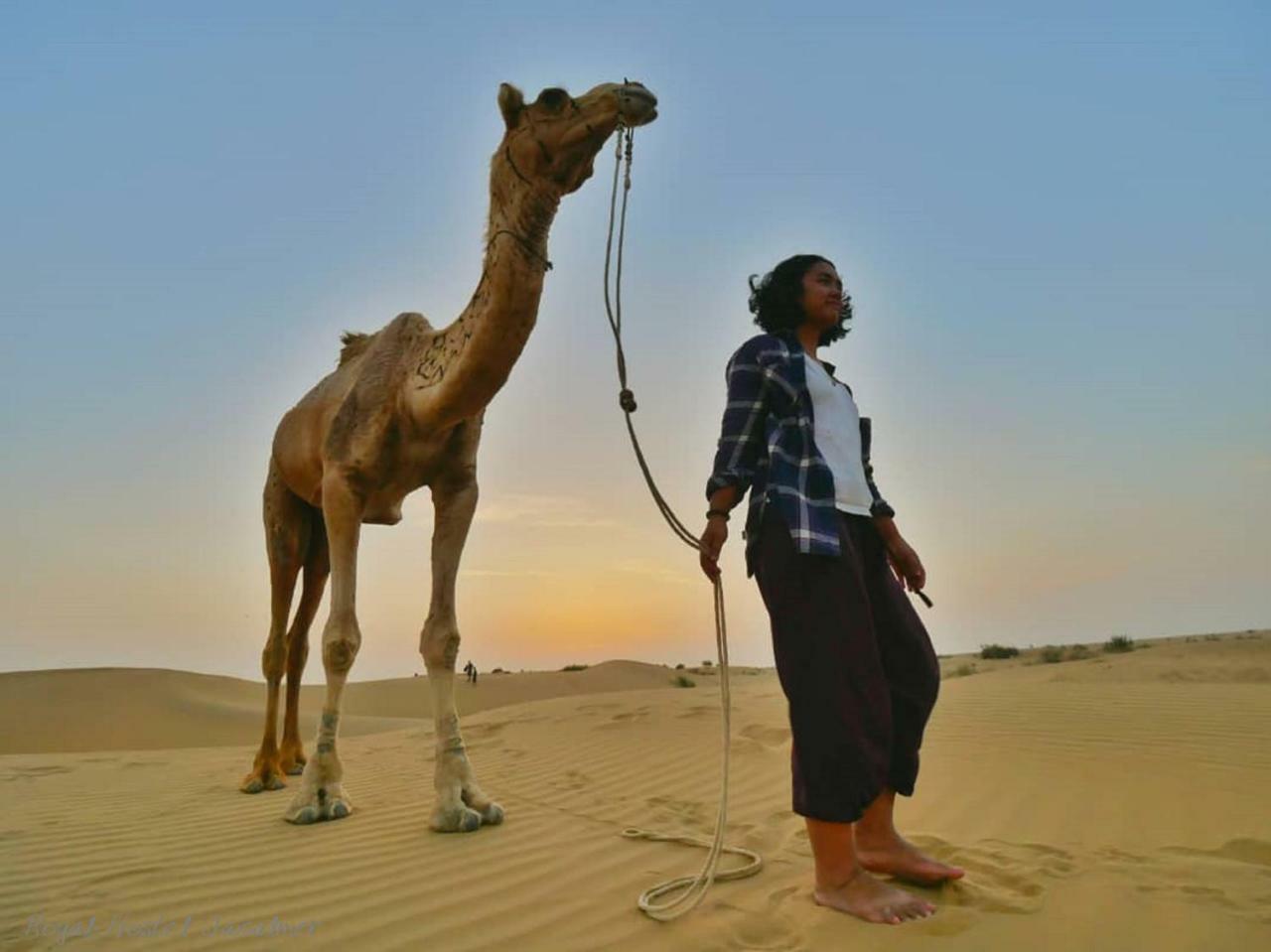 Hotel Royal Jaisalmer Bagian luar foto