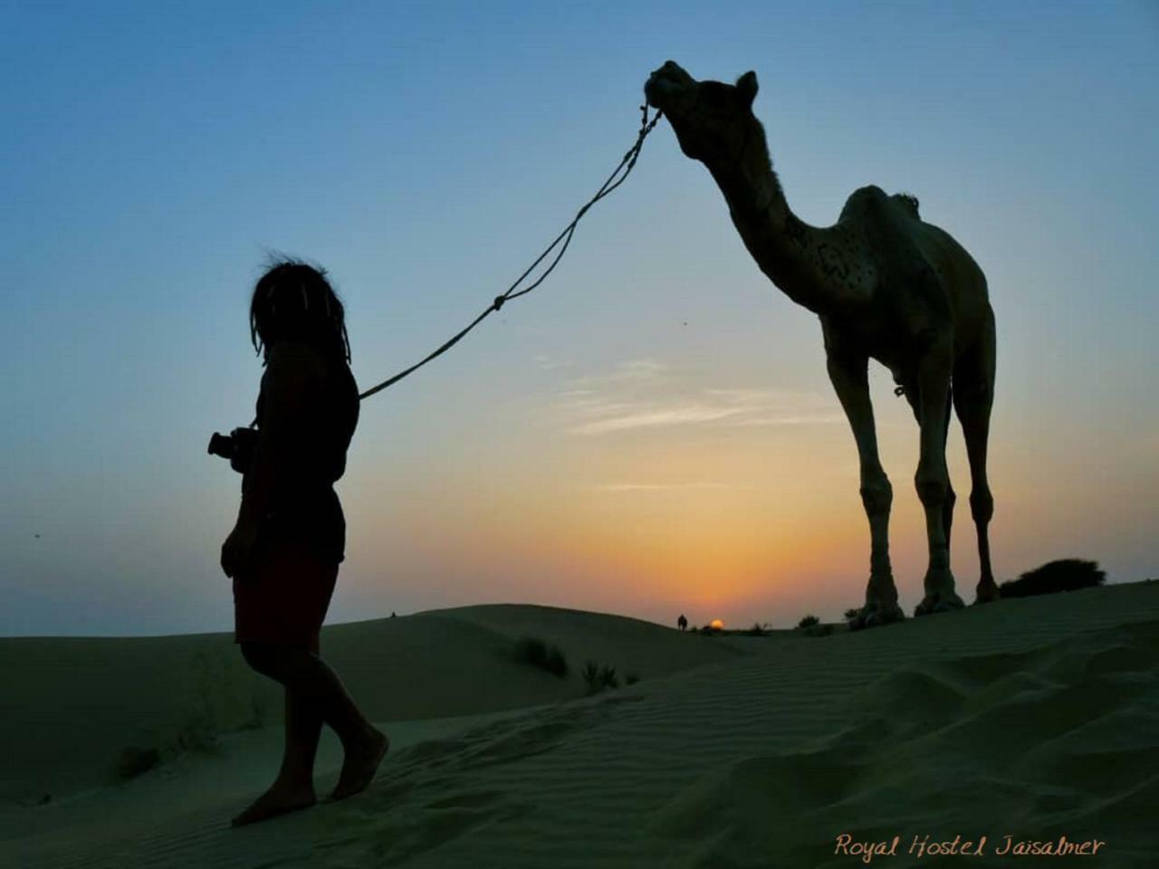 Hotel Royal Jaisalmer Bagian luar foto