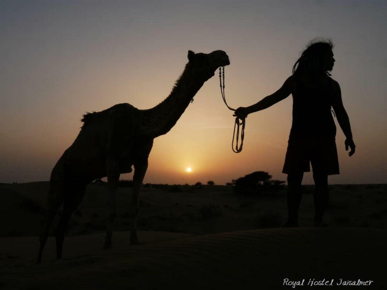 Hotel Royal Jaisalmer Bagian luar foto